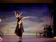 Russisches Ballett "Schwanensee" zu Gast in Lemgo
