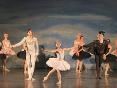 Russisches Ballett "Schwanensee" zu Gast in Lemgo