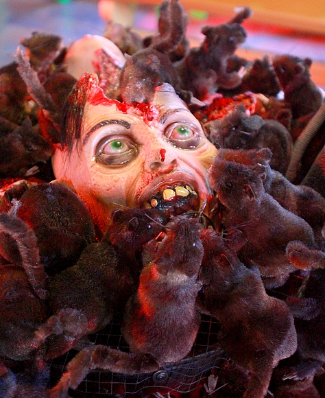 Halloween - der Jahrmarkt des Schreckens 2015